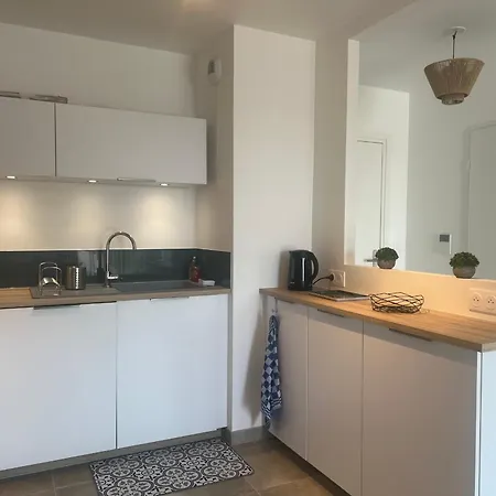 Bel Neuf Avec Terrasses A 250m De La Plage, Parking Et Ascenseur - Fr-1-539-70